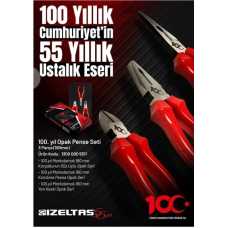 İzeltaş 13000005511 100.Yıl 160 mm Opak Pense Seti 3 Parça